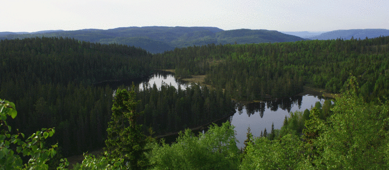 Småviltjakt 2025